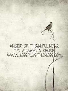 Manna for the Moment – A Journey Toward Thankfulness.
