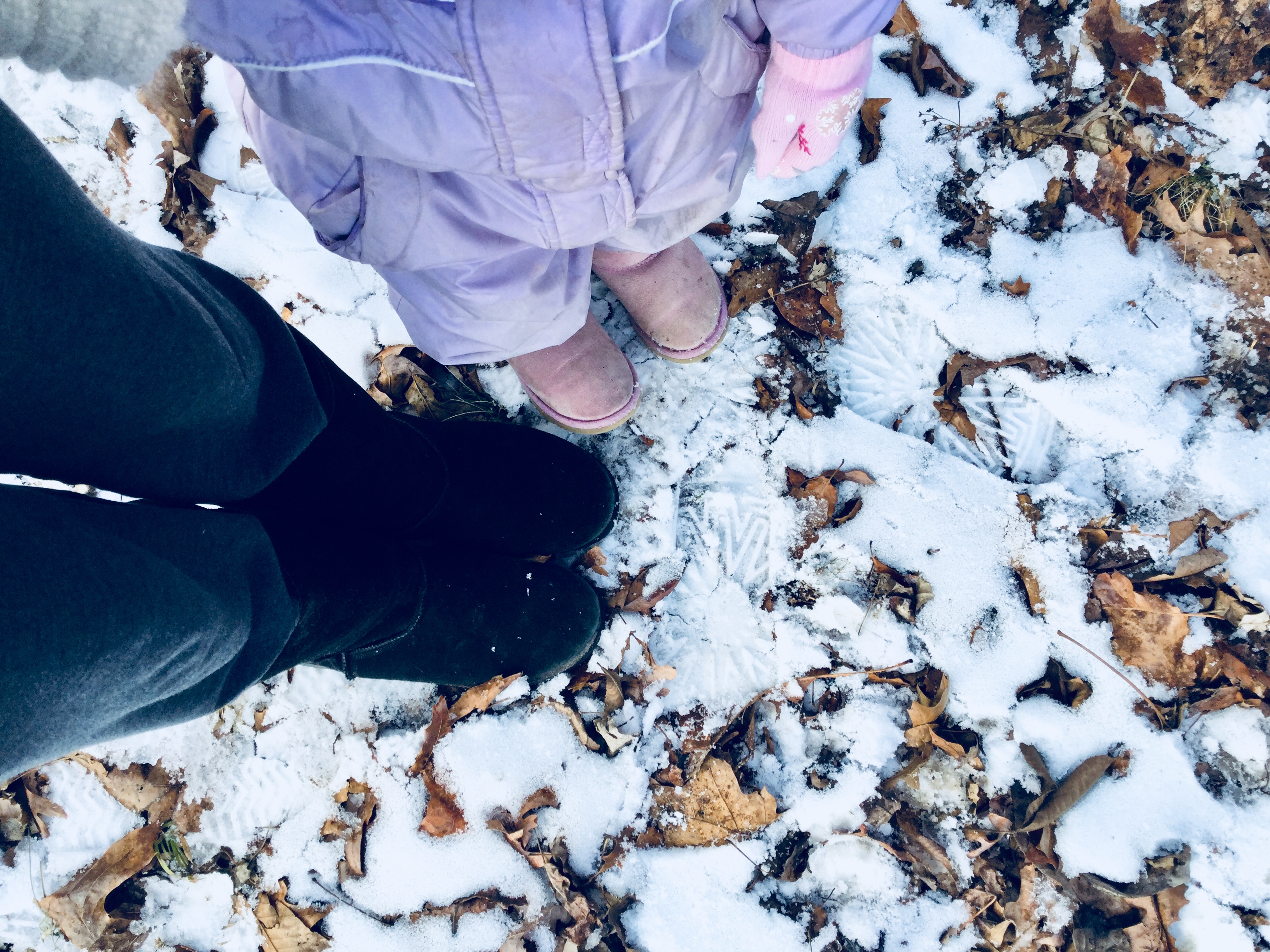 How to Choose Thankfulness in the Midst of Grief – A Winter Walk