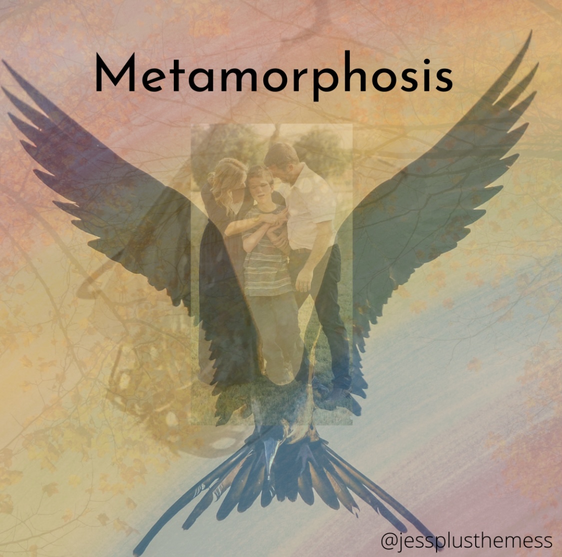 Metamorphosis