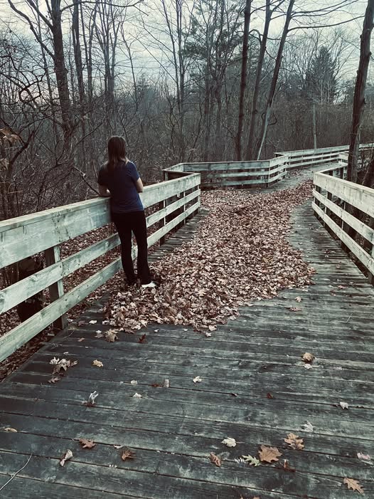 A Fall Walk